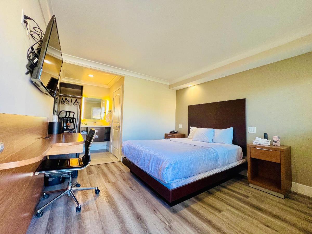 Greenwich Inn San Francisco Luaran gambar