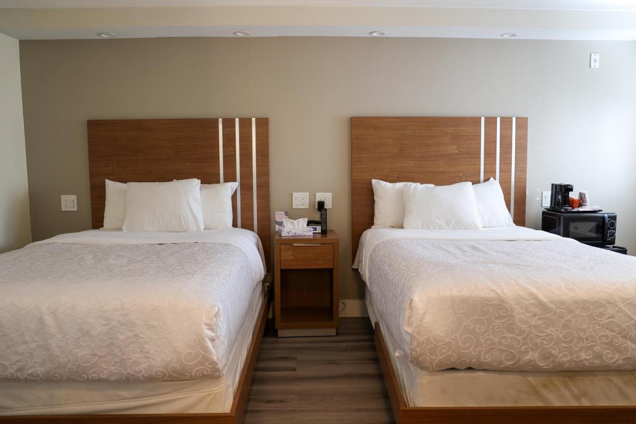 Greenwich Inn San Francisco Luaran gambar